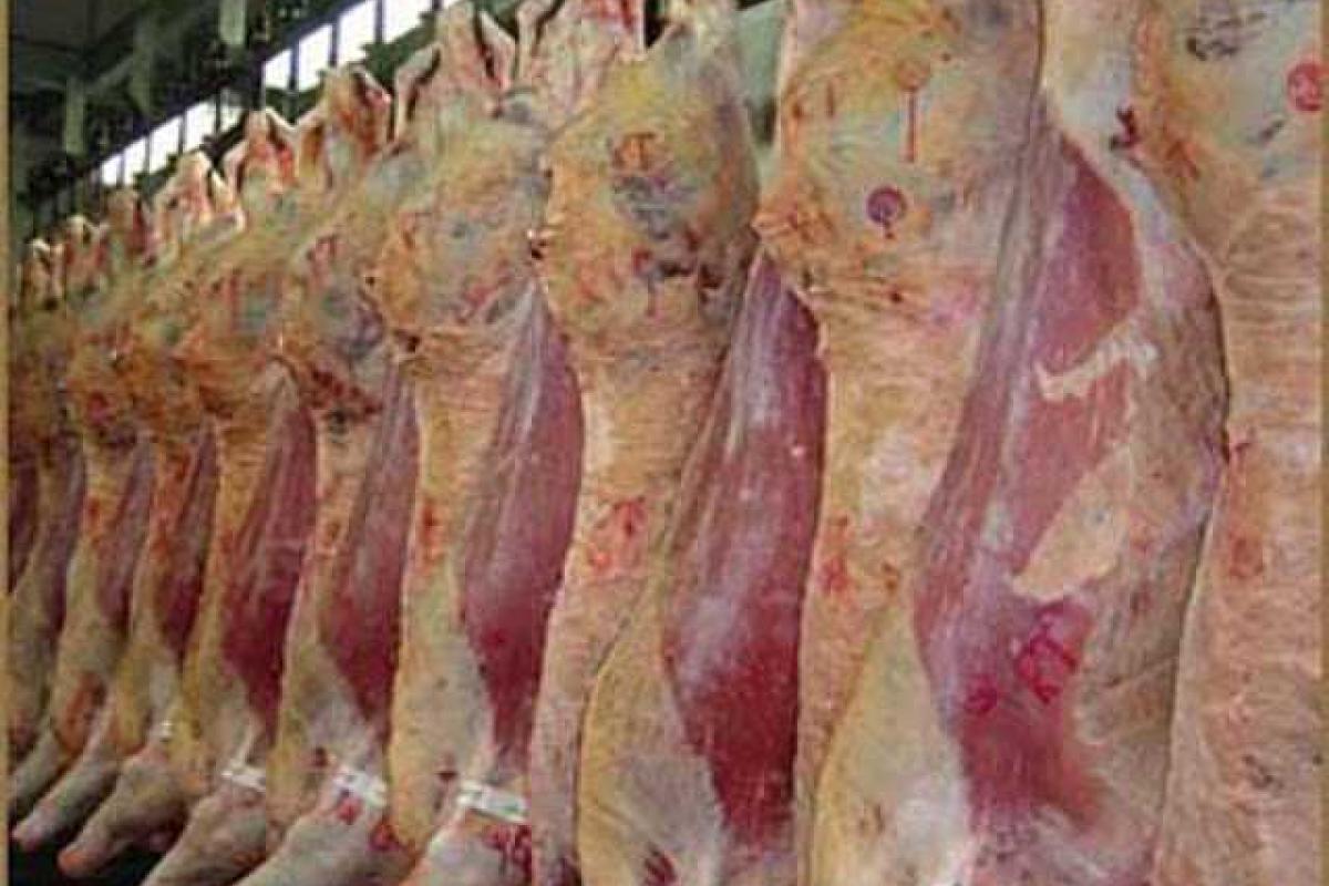 Современные забойные пункты для скота появятся на Сумщине