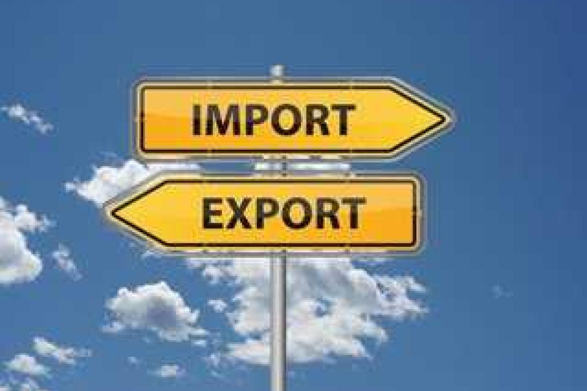 Через Херсонскую таможню за новогодние праздники переместили товара на 24 млн. долл. США