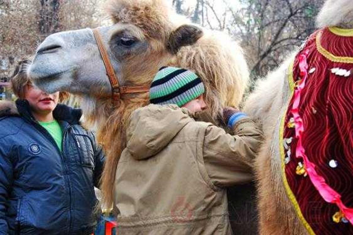 Одесский зоопарк приглашает на День объятий