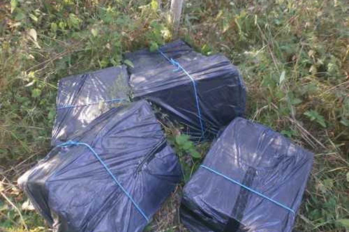 16 тысяч пачек сигарет обнаружили закарпатские пограничники 16 тысяч пачек сигарет обнаружили закарпатские пограничники