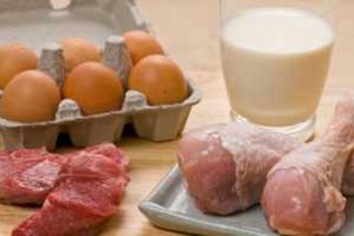 В Украине наблюдается рост производства основных видов животноводческой продукции В Украине наблюдается рост производства основных видов животноводческой продукции