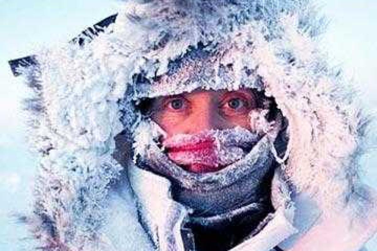 Львовские жертвы зимы Львовские жертвы зимы