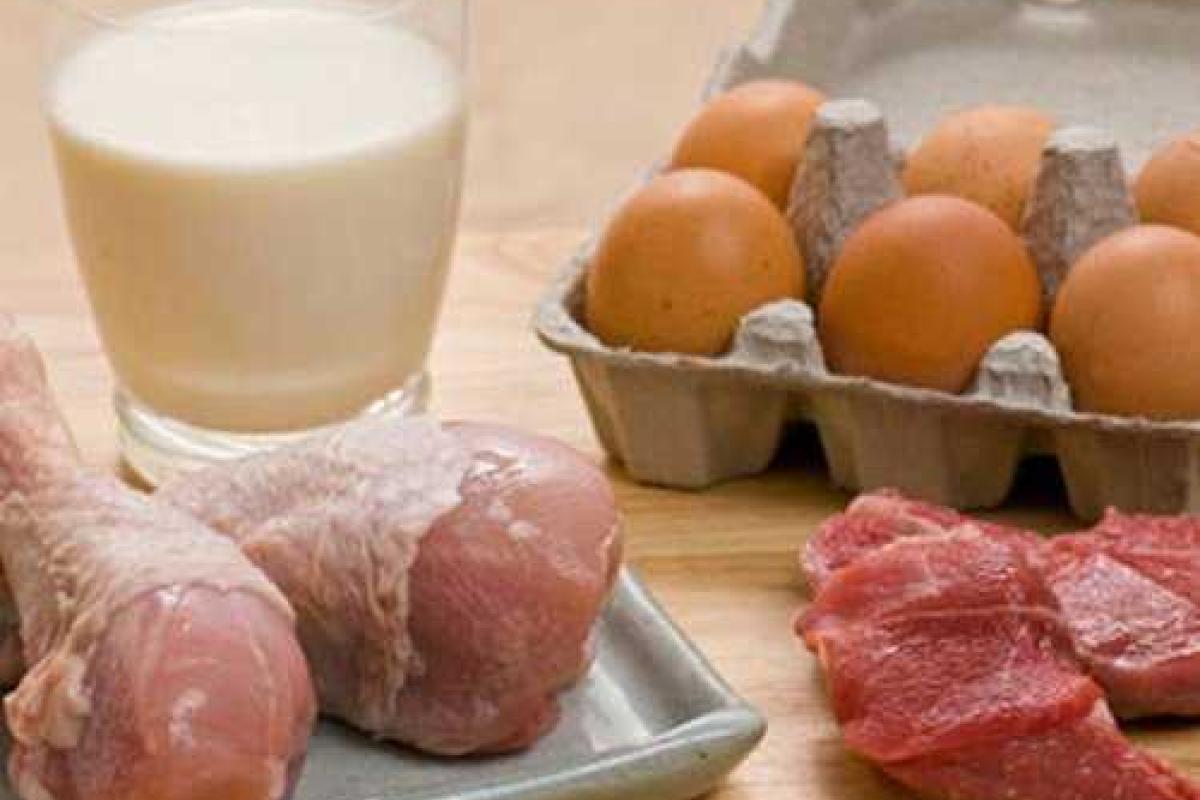 Растет производство сельхозпродукции предприятиями Харьковщины Растет производство сельхозпродукции предприятиями Харьковщины