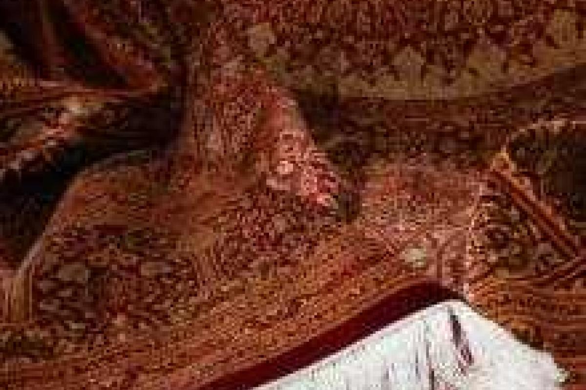 Героин в иранских коврах обнаружили немецкие таможенники Героин в иранских коврах обнаружили немецкие таможенники