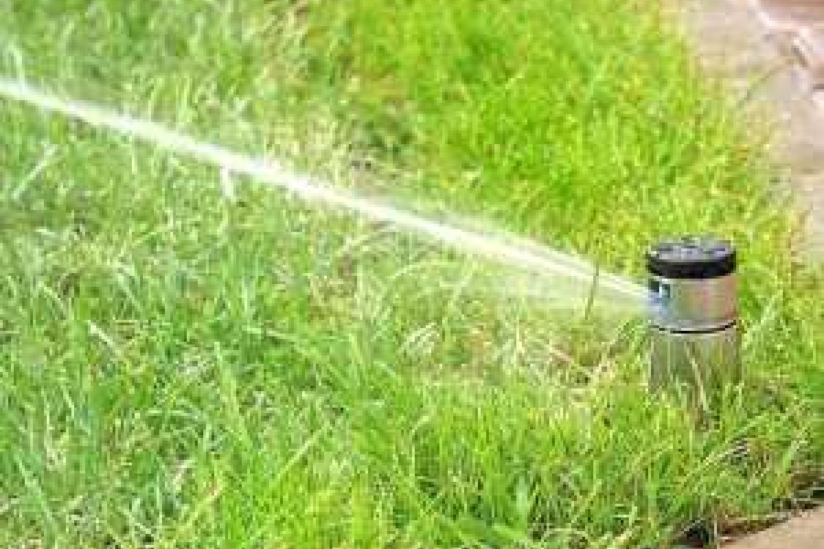 Срок выдачи разрешения на специальное водопользование должен составлять не более 30 дней Срок выдачи разрешения на специальное водопользование должен составлять не более 30 дней