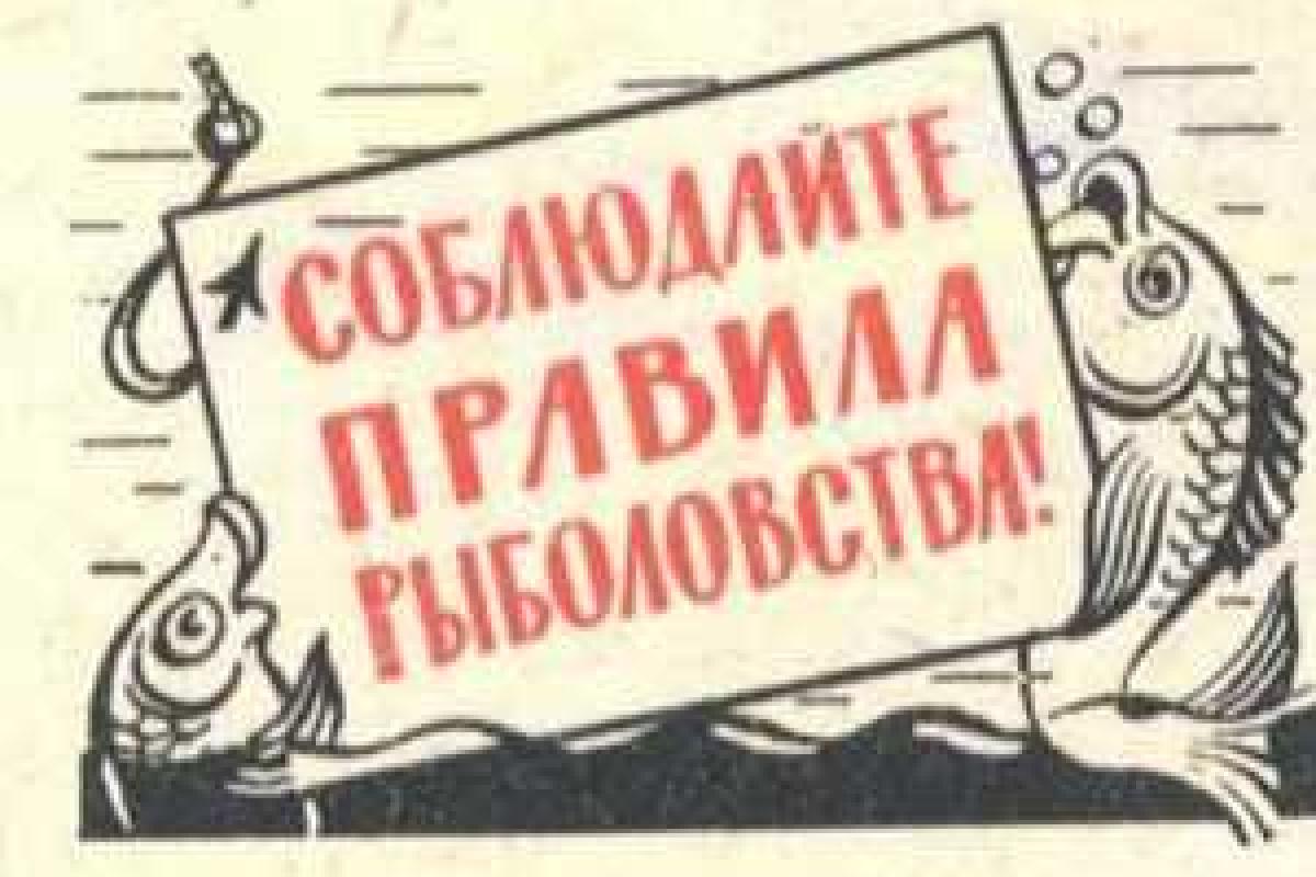 Нерестовый период-2014 начинается на Луганщине  Нерестовый период-2014 начинается на Луганщине
