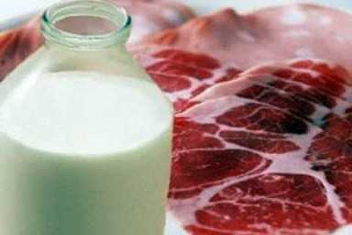 "Госветфитослужба" начала реформы в системе безопасности продуктов "Госветфитослужба" начала реформы в системе безопасности продуктов