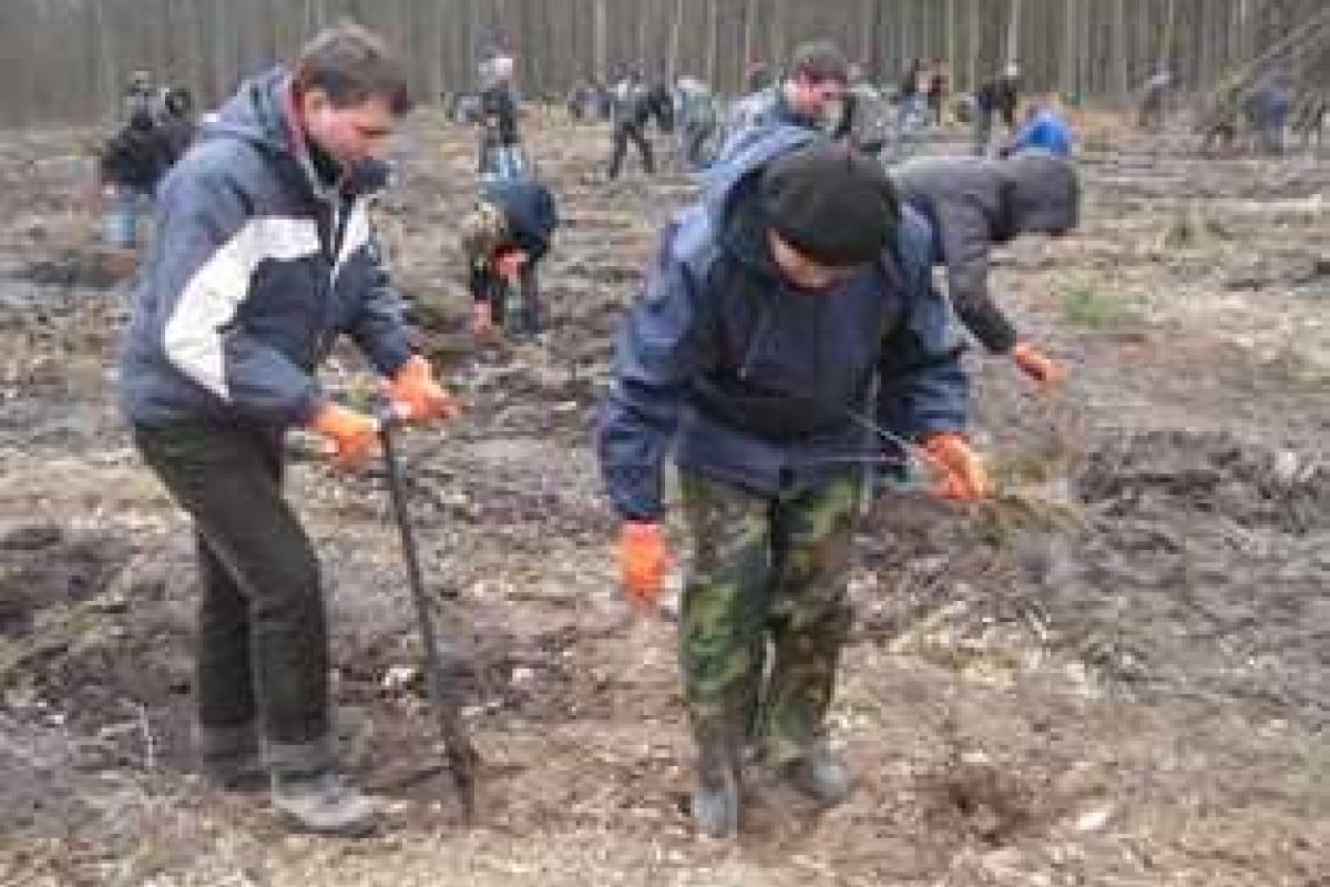 Акция "Будущее леса в твоих руках" продолжается на Ровенщине Акция "Будущее леса в твоих руках" продолжается на Ровенщине