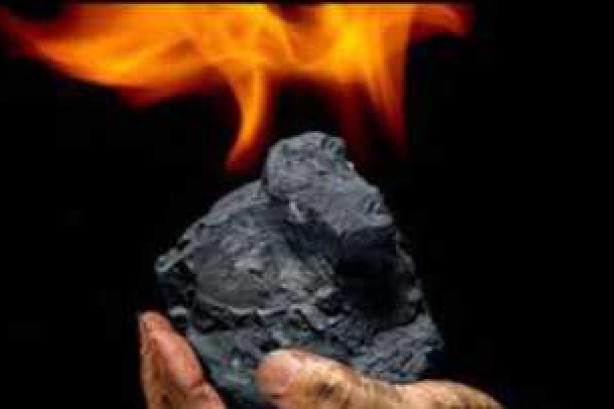 Строительство завода по газификации угля в Украине откладывается  Строительство завода по газификации угля в Украине откладывается