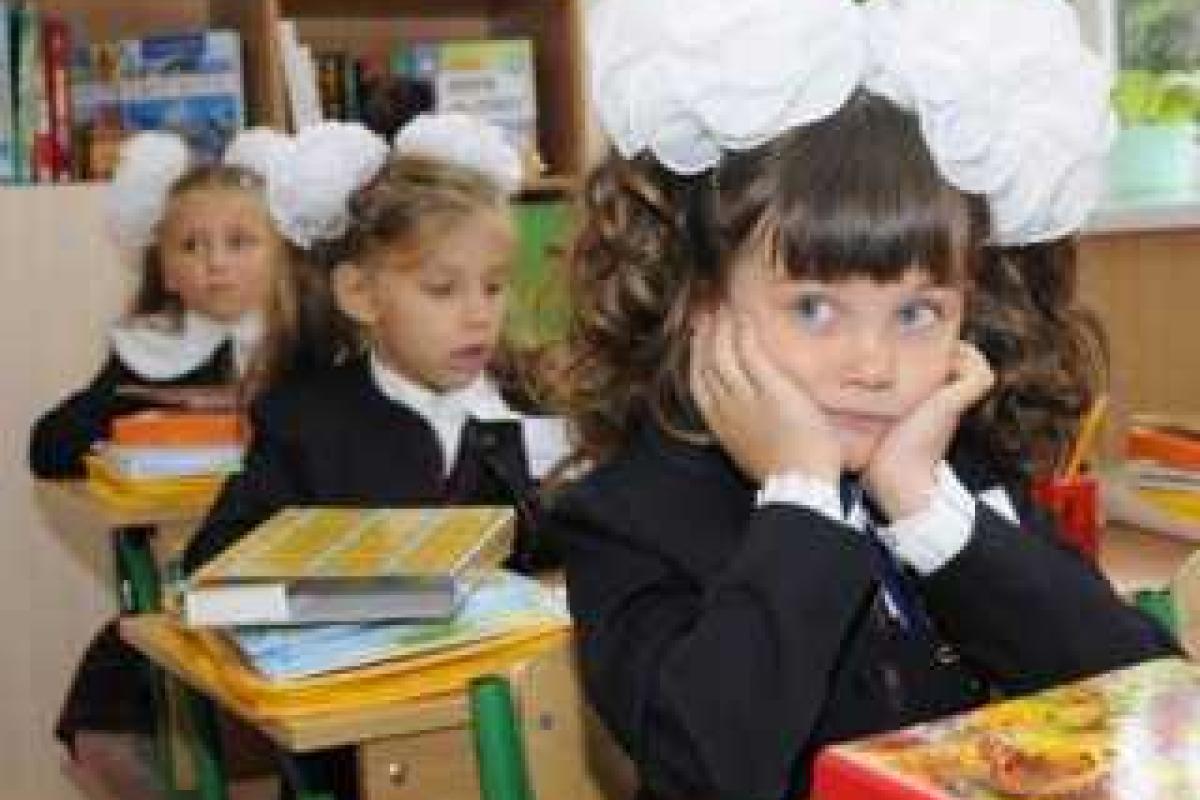 Частые проверки учебных заведений негативно влияют на рабочий процесс Частые проверки учебных заведений негативно влияют на рабочий процесс