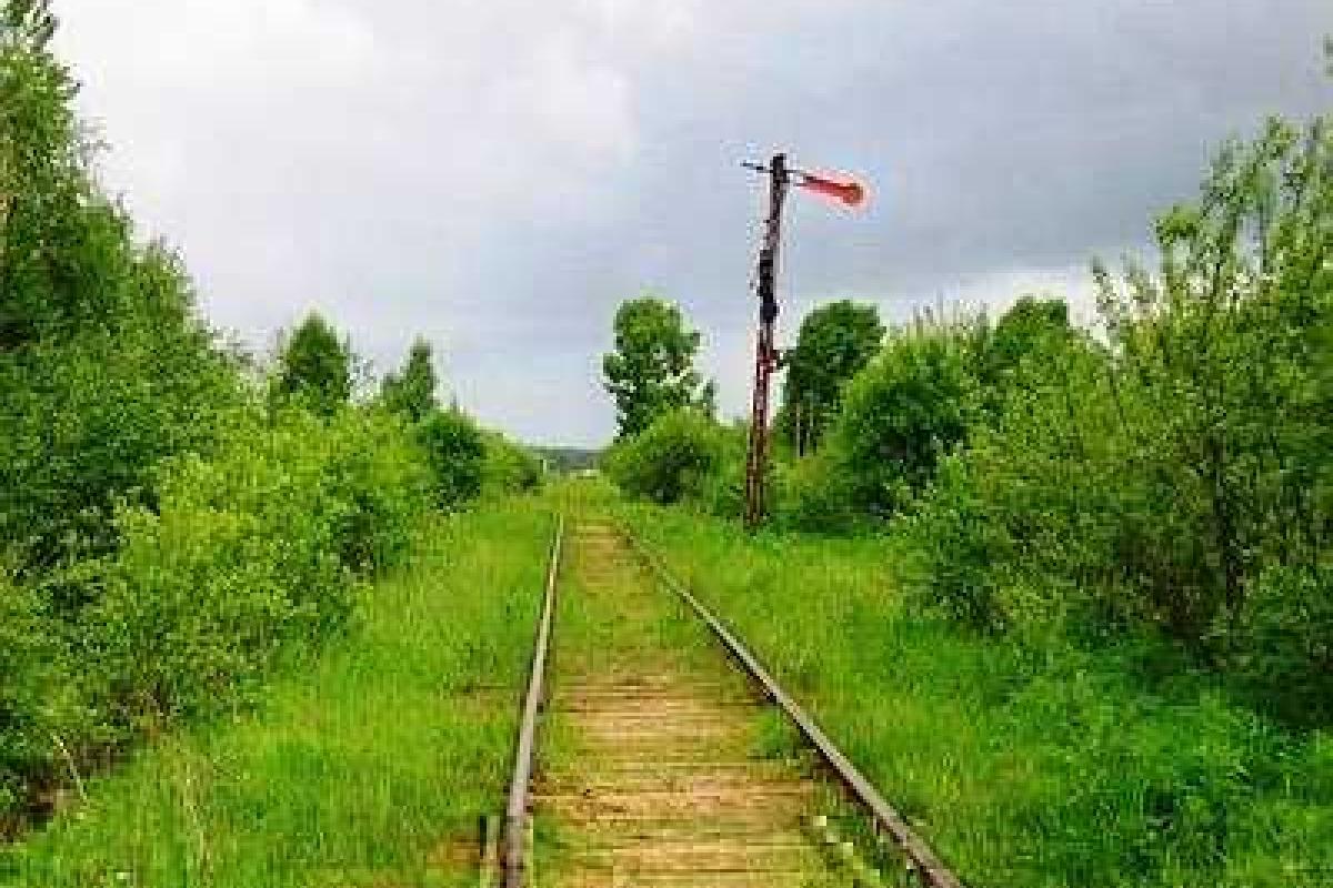 Продолжается благоустройство защитных лесонасаждений вдоль железнодорожных путей Продолжается благоустройство защитных лесонасаждений вдоль железнодорожных путей