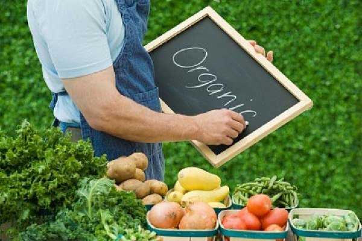 Украина нацелена на экспорт продукции в страны ЕС - И.Швайка Украина нацелена на экспорт продукции в страны ЕС - И.Швайка