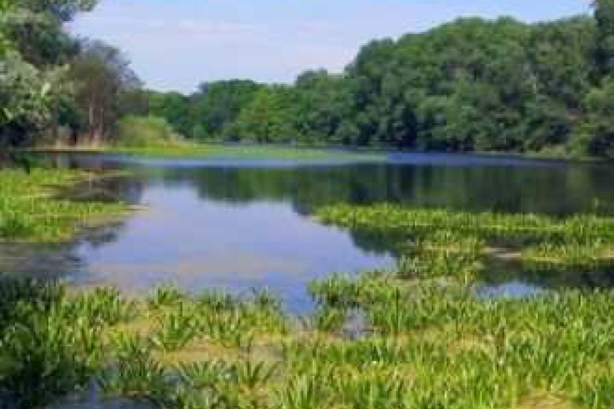 Сеть объектов природно-заповедного фонда на Луганщине включает 192 объекта