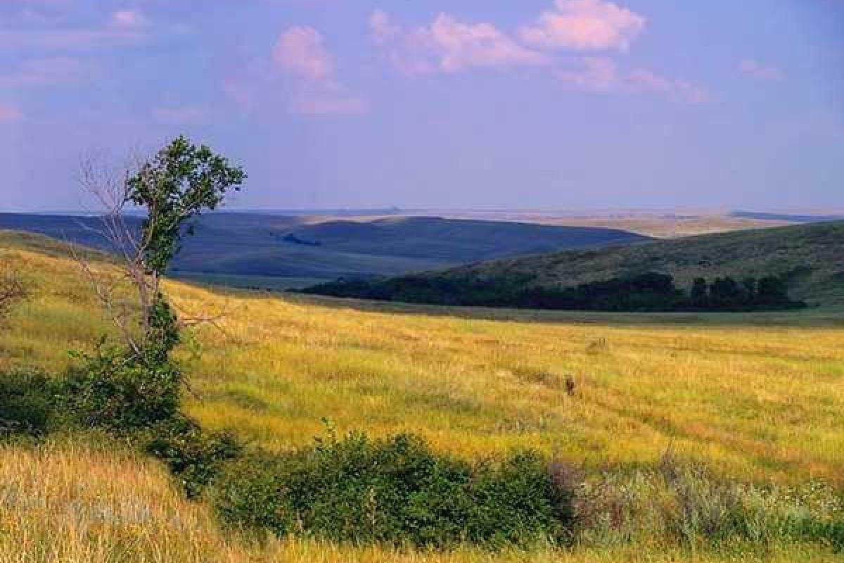На Луганщине увеличен природно-заповедный фонд На Луганщине увеличен природно-заповедный фонд