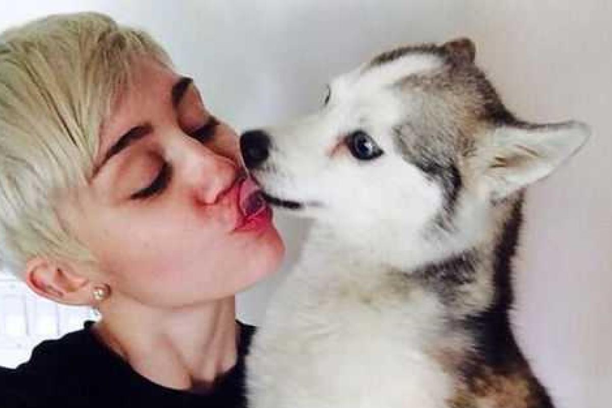 Майли Сайрус потеряла самого близкого друга Майли Сайрус потеряла самого близкого друга