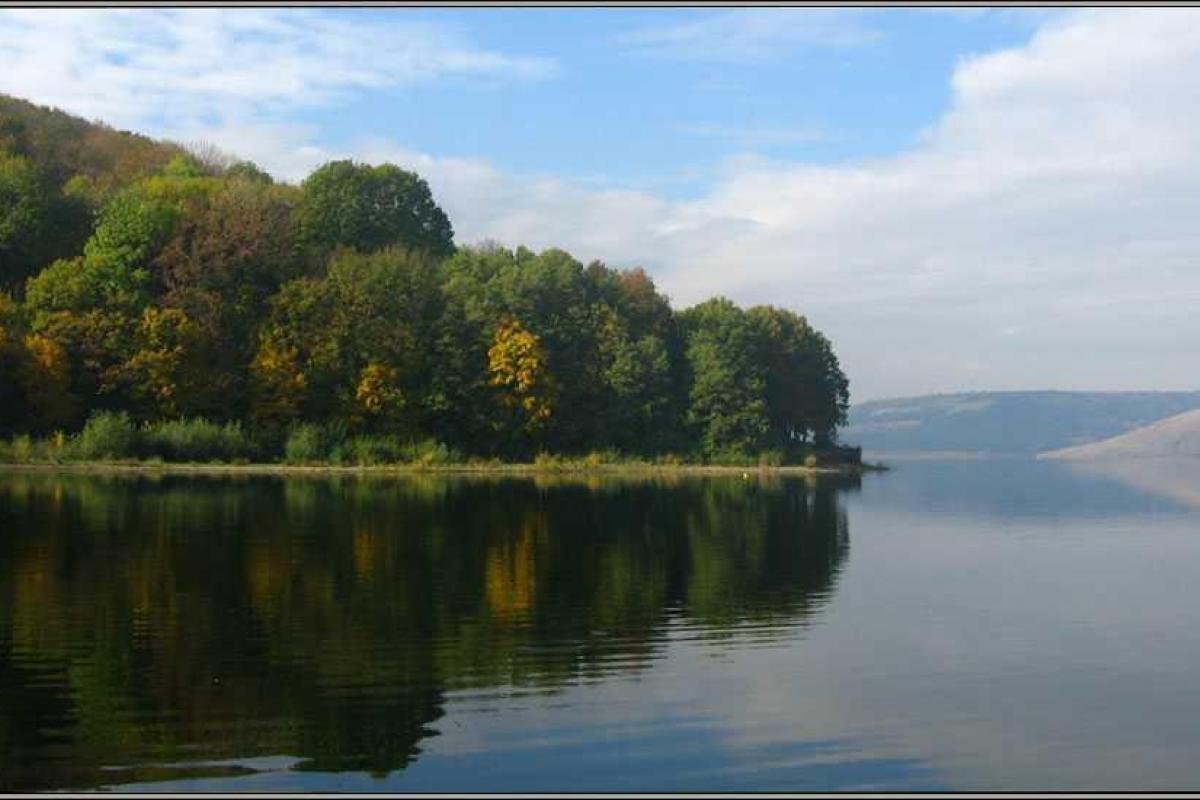 Актуальные вопросы сохранения ценных видов флоры и фауны обсудили на Буковине Актуальные вопросы сохранения ценных видов флоры и фауны обсудили на Буковине