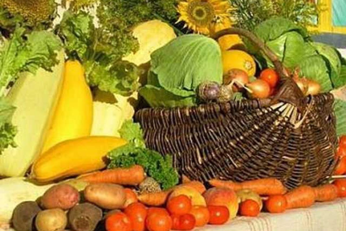 Ярмарки пользуются большой популярностью у жителей Украины