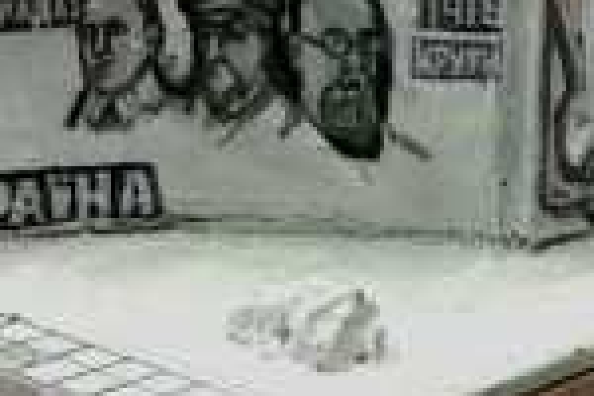 Сумчане возведут мемориал УНР Сумчане возведут мемориал УНР