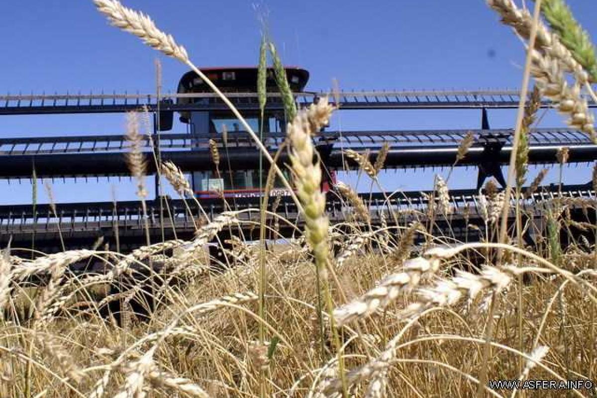 Оперативная информация Минагрополитики о ходе полевых работ