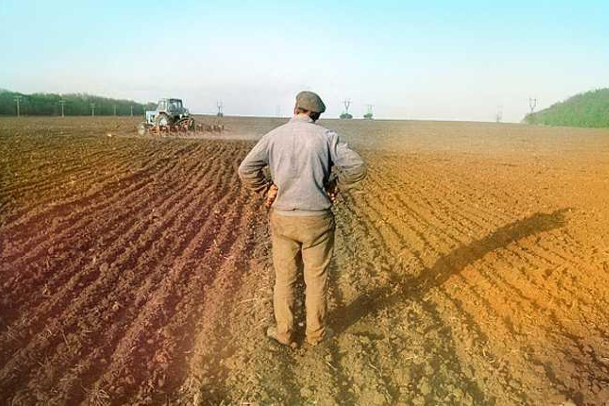 На Луганщине в собственность и пользование передано 686 тыс. га земель На Луганщине в собственность и пользование передано 686 тыс. га земель