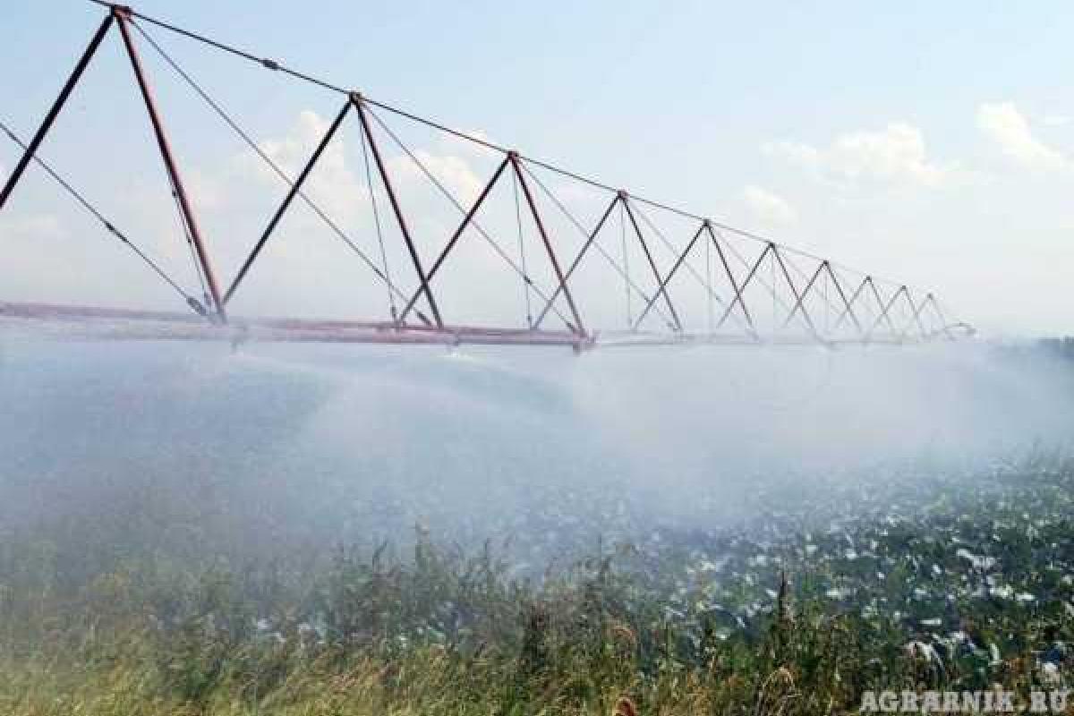  Утвержден план мероприятий по реализации Концепции развития агролесомелиорации в Украине