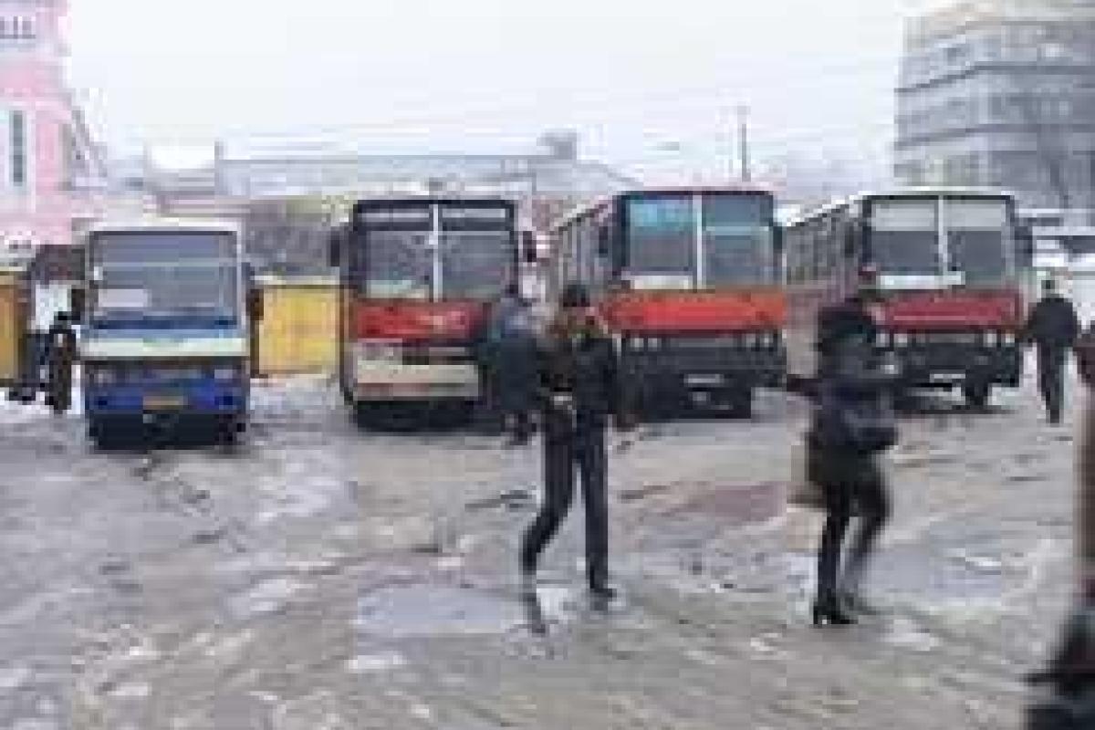 Будет разработан законопроект об амнистии перевозчиков, которые доставляли людей на Майдан Будет разработан законопроект об амнистии перевозчиков, которые доставляли людей на Майдан