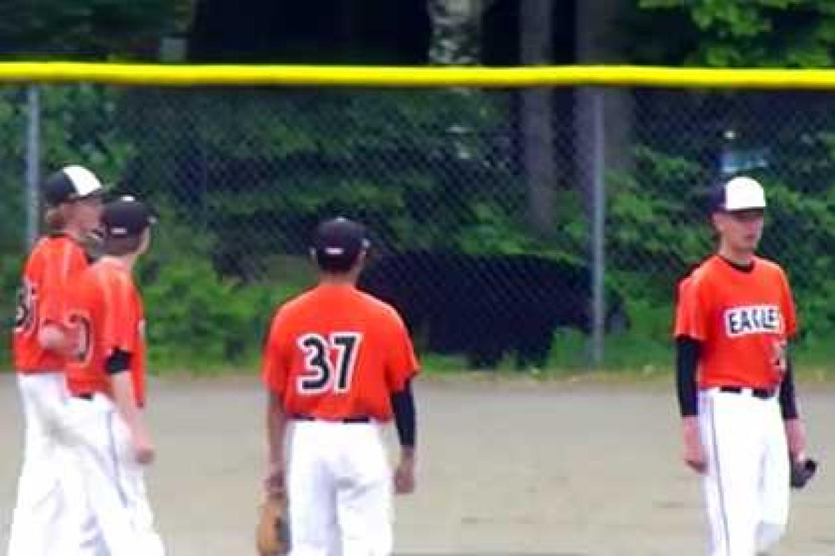 На Аляске медведь посетил матч бейсбольных команд  На Аляске медведь посетил матч бейсбольных команд