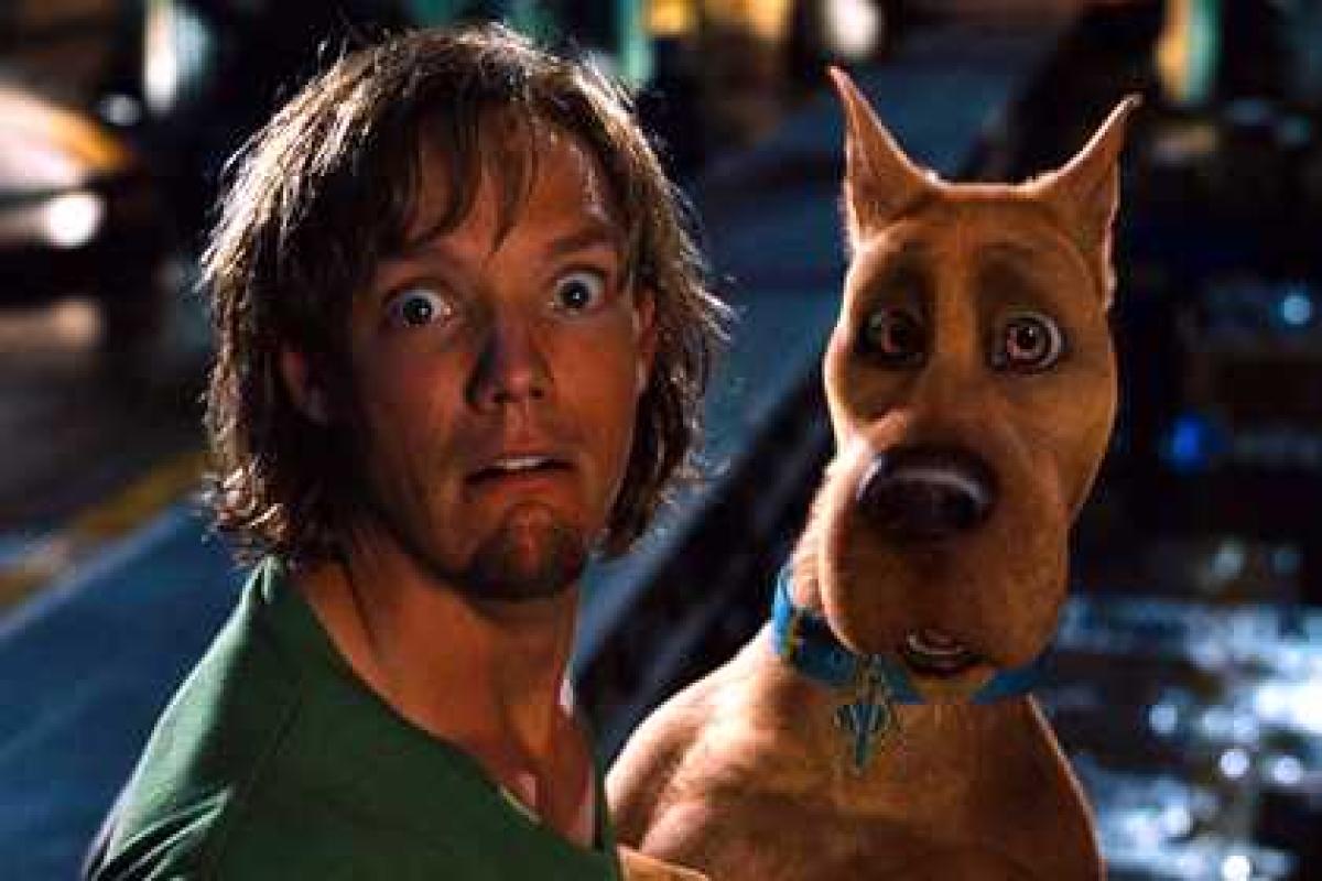 Англичанка избила посетителя бара, одетого в костюм Скуби-Ду  Англичанка избила посетителя бара, одетого в костюм Скуби-Ду