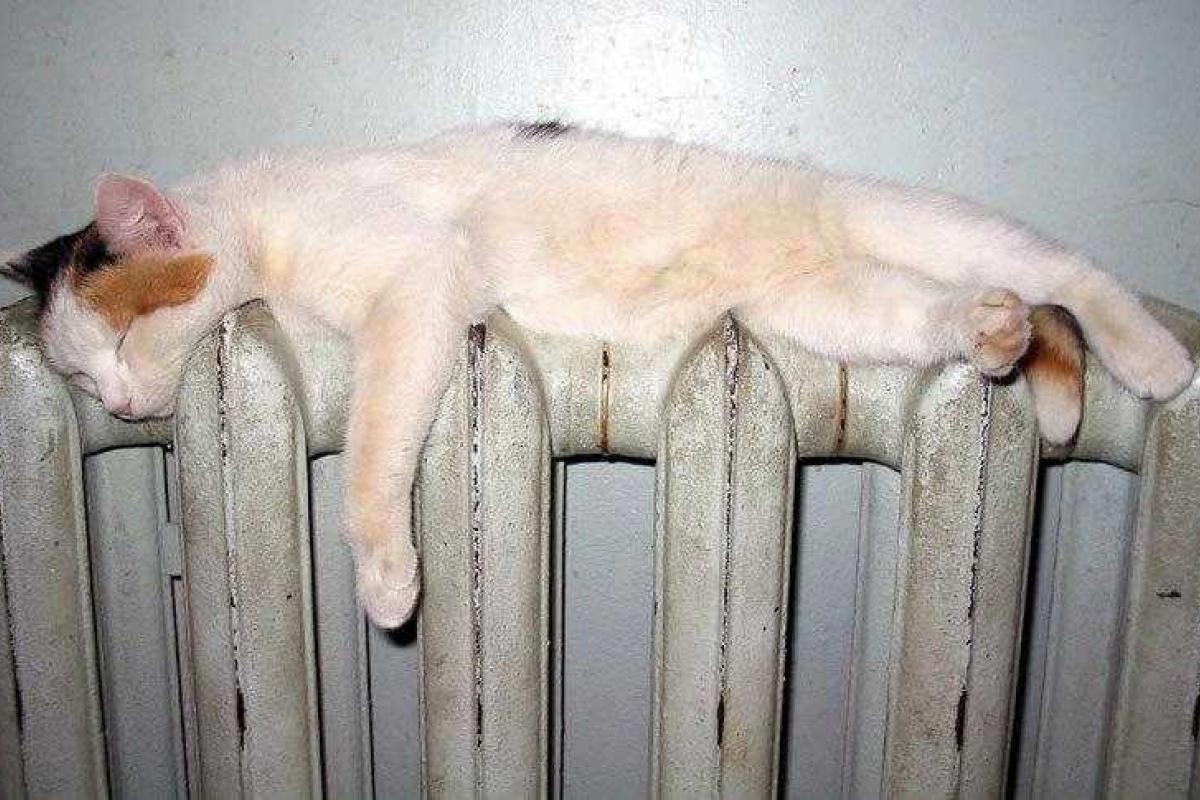 Минрегион контролирует подготовку объектов теплоснабжения к зиме