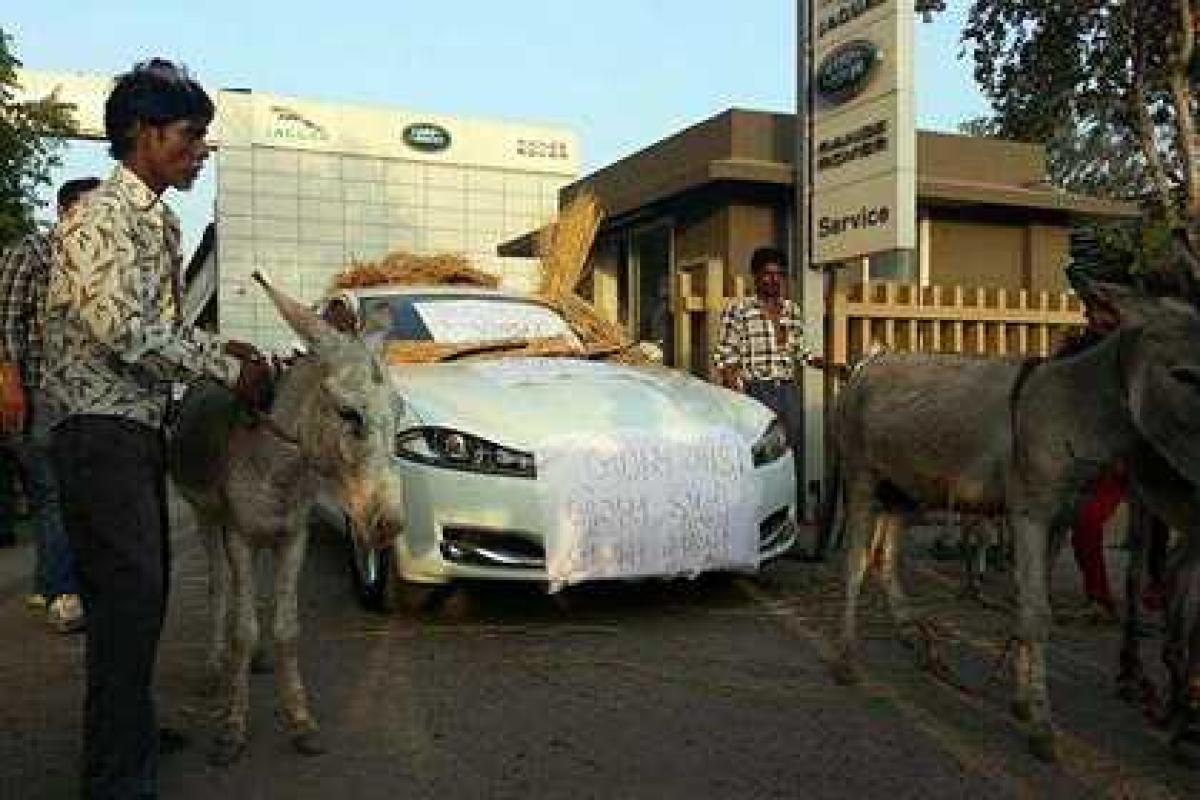 По улицам индийского города ослы возили дорогостоящий Jaguar XF