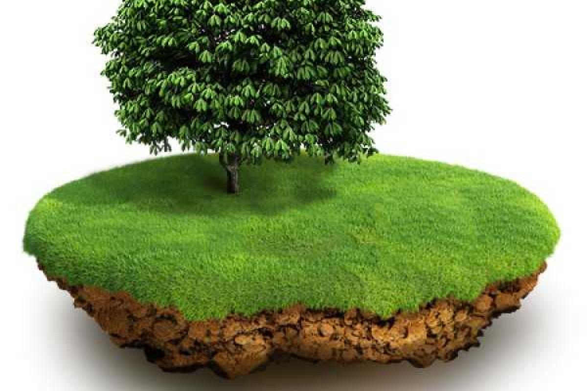 Приняты первые решения о выделении земельных участков семьям героев Небесной сотни