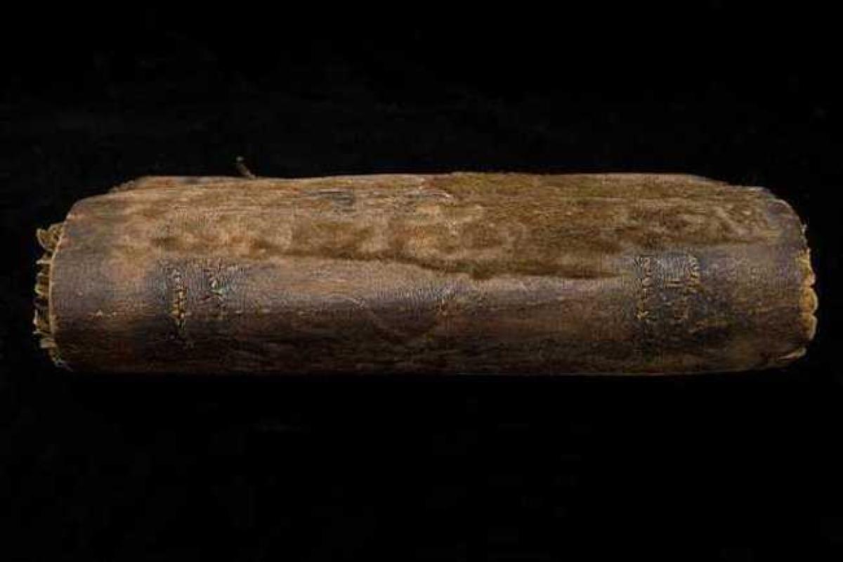 Жуткие находки гарвардских библиотекарей