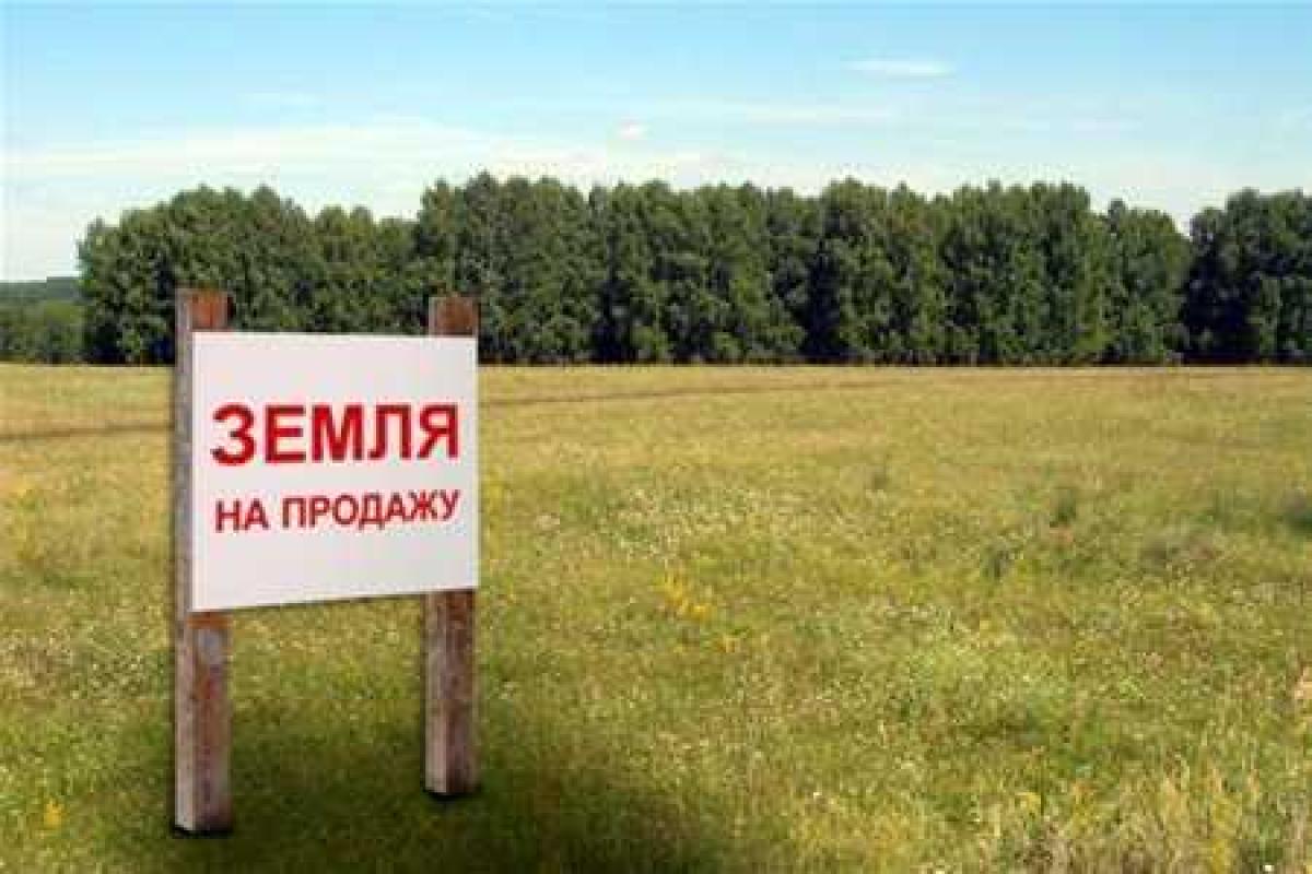 В Киеве состоятся земельные торги
