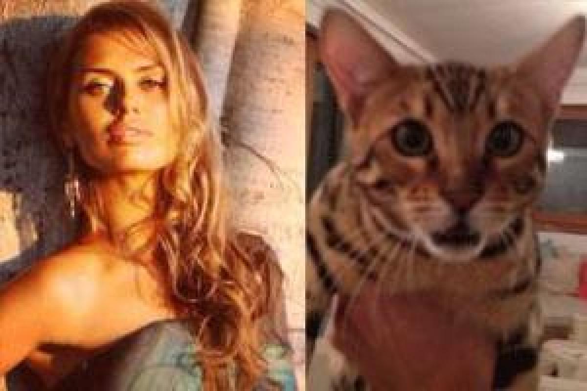 У Виктории Боня завелся Султан У Виктории Боня завелся Султан