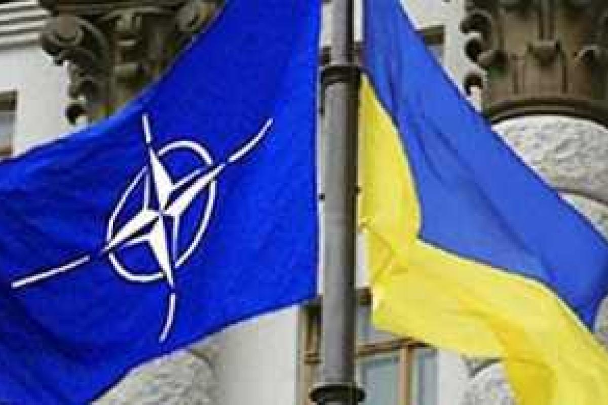 О помощи НАТО Украине будет объявлено 5 сентября О помощи НАТО Украине будет объявлено 5 сентября