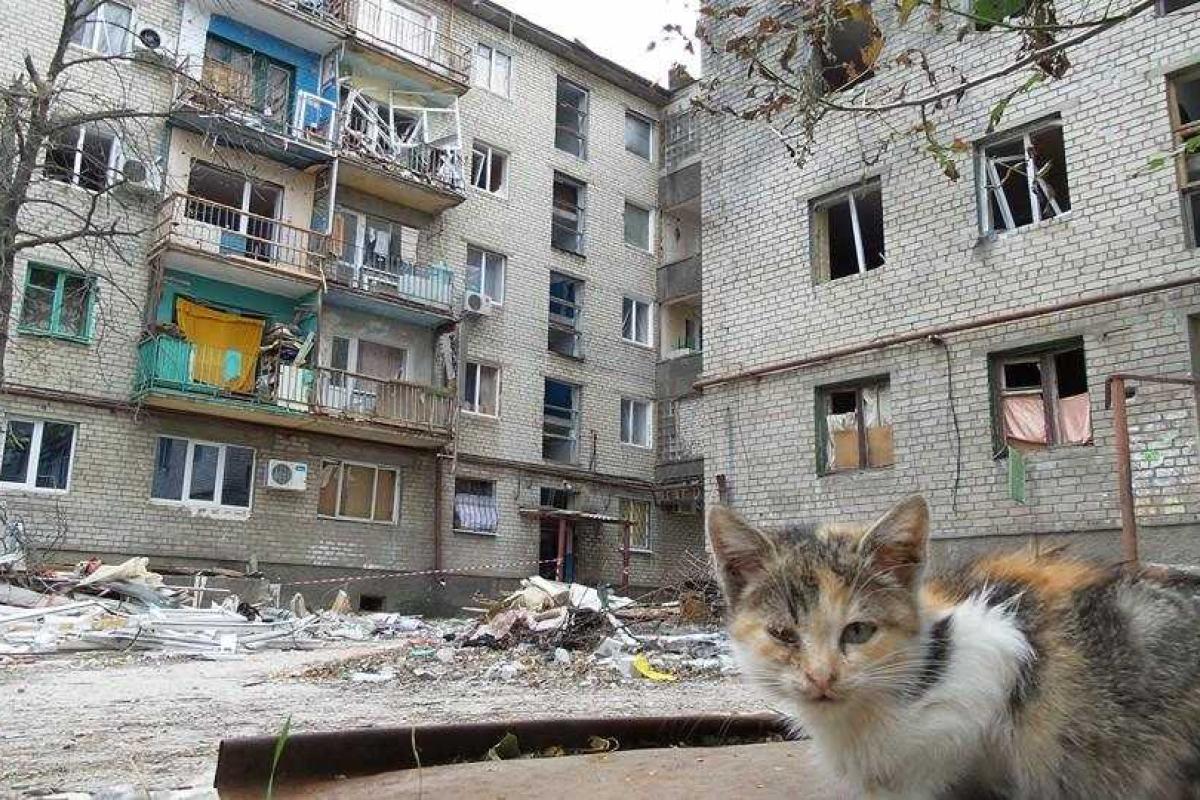 Решение вопросов соцзащиты населения в г. Луганск Решение вопросов соцзащиты населения в г. Луганск