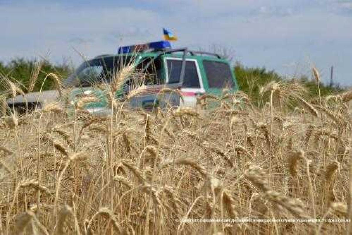 Ситуация на украинско-российской границе на 8 сентября Ситуация на украинско-российской границе на 8 сентября
