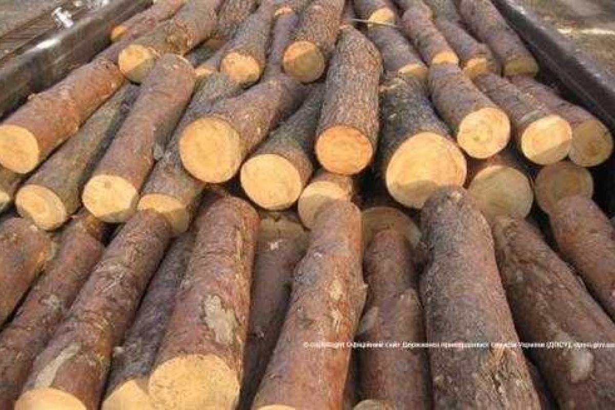 Контрабандные сигареты пытались провезти через границу в "коробочках" из бревен