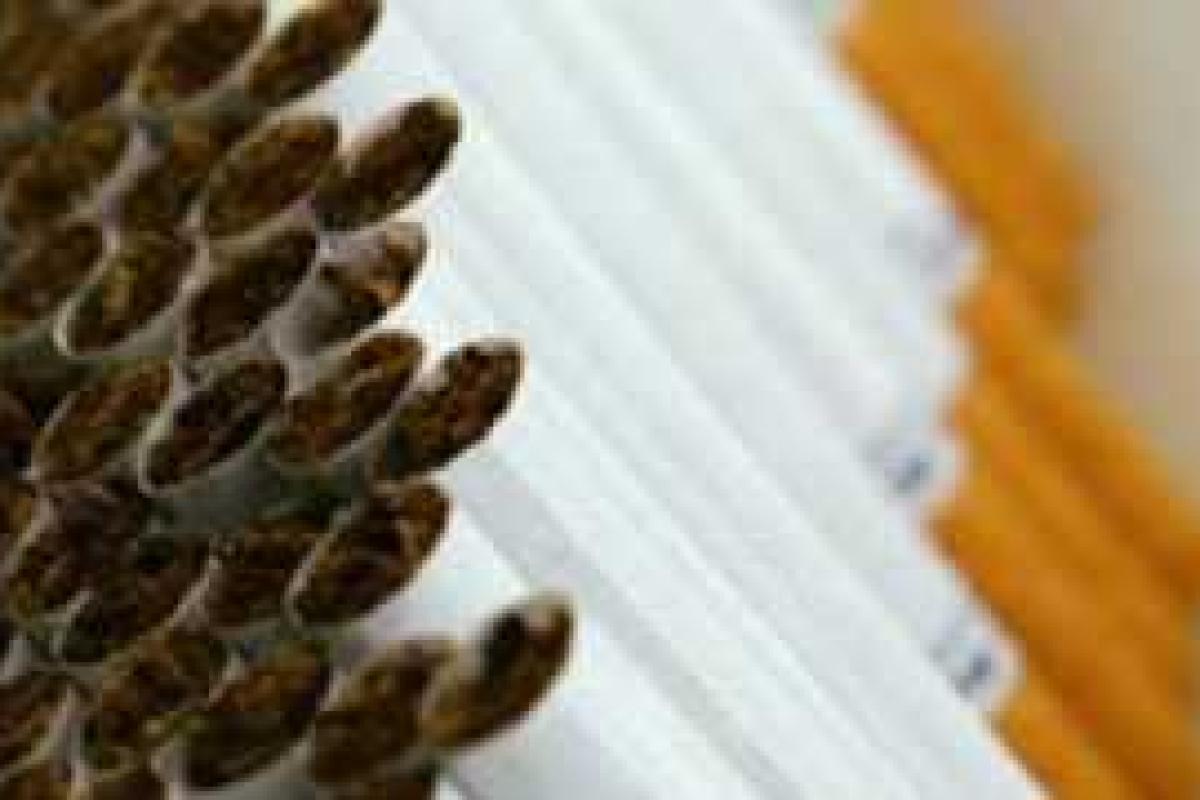 Неплохой "табачный" улов совершили работники налоговой милиции Харьковщины Неплохой "табачный" улов совершили работники налоговой милиции Харьковщины