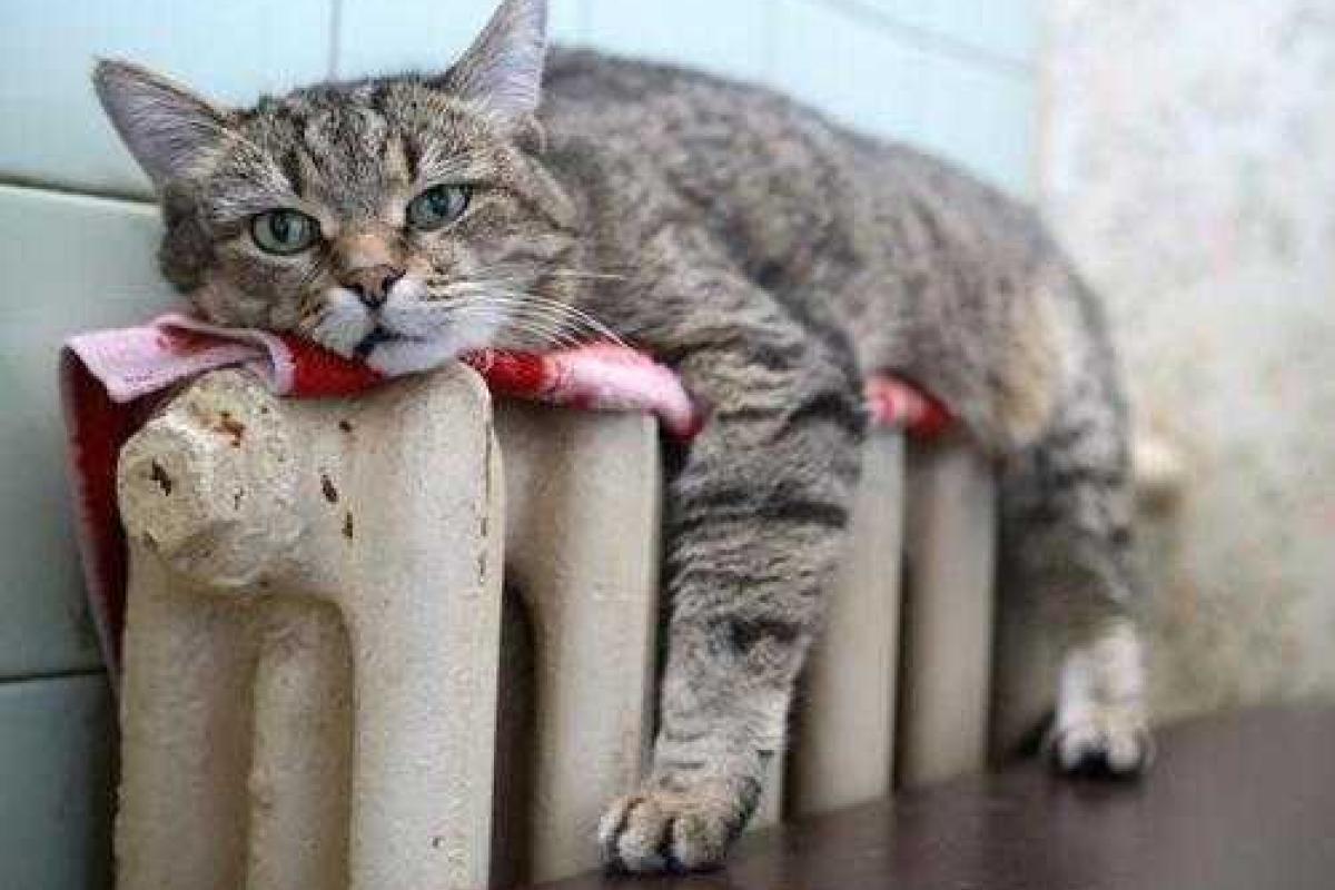 Минрегион: Зимой температура в квартирах будет соответствовать установленным нормам