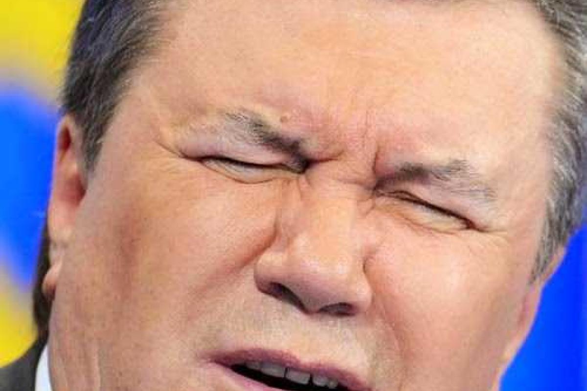 Запоздалое прозрение запойного Януковича