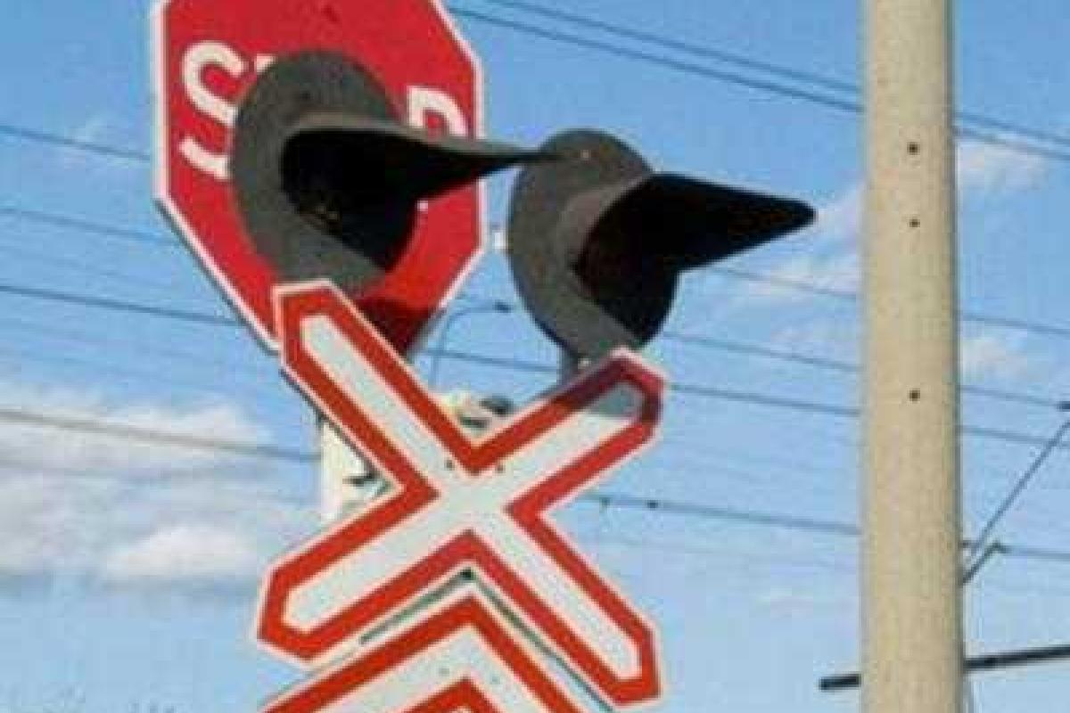 С начала года на железнодорожных переездах произошло 19 ДТП со смертельным исходом С начала года на железнодорожных переездах произошло 19 ДТП со смертельным исходом