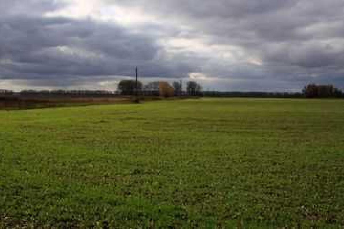 Земельные участки будут продаваться исключительно через аукционы - В.Гройсман