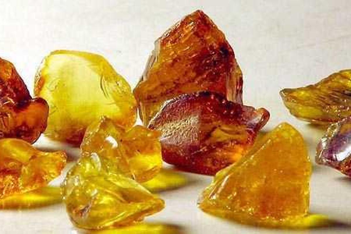 На Волыни займутся добычей янтаря