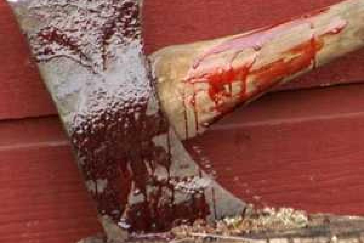 На Луганщине в ходе ссоры сын убил мать топором На Луганщине в ходе ссоры сын убил мать топором