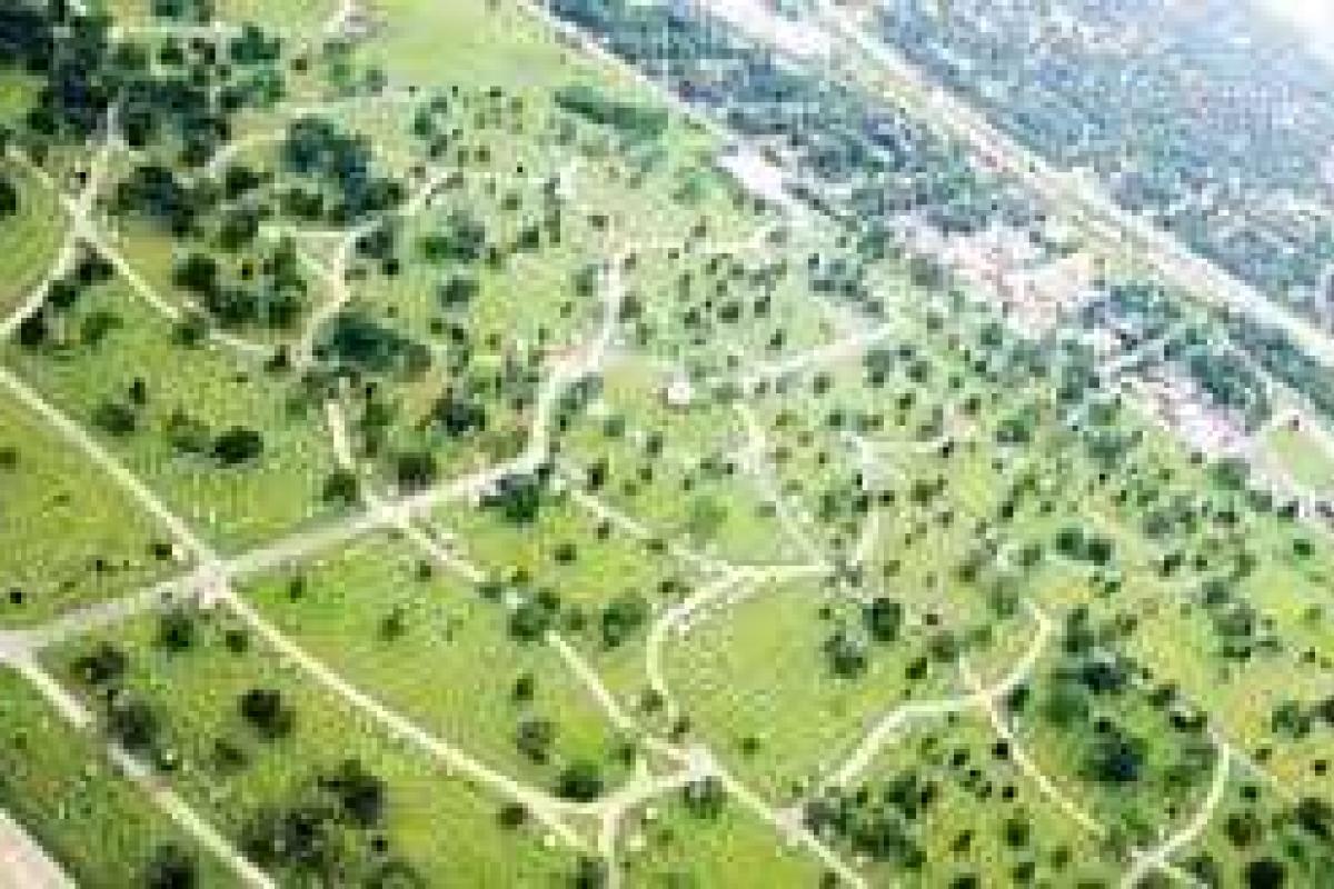 Обнародована сводная информация о перечнях земельных участков для продажи на торгах