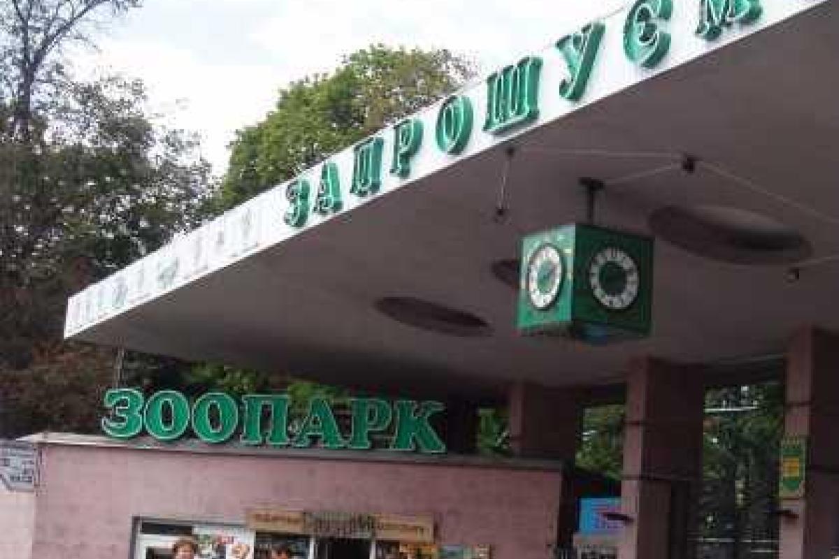 "Замечательные животные" приглашают детей в Киевский зоопарк "Замечательные животные" приглашают детей в Киевский зоопарк