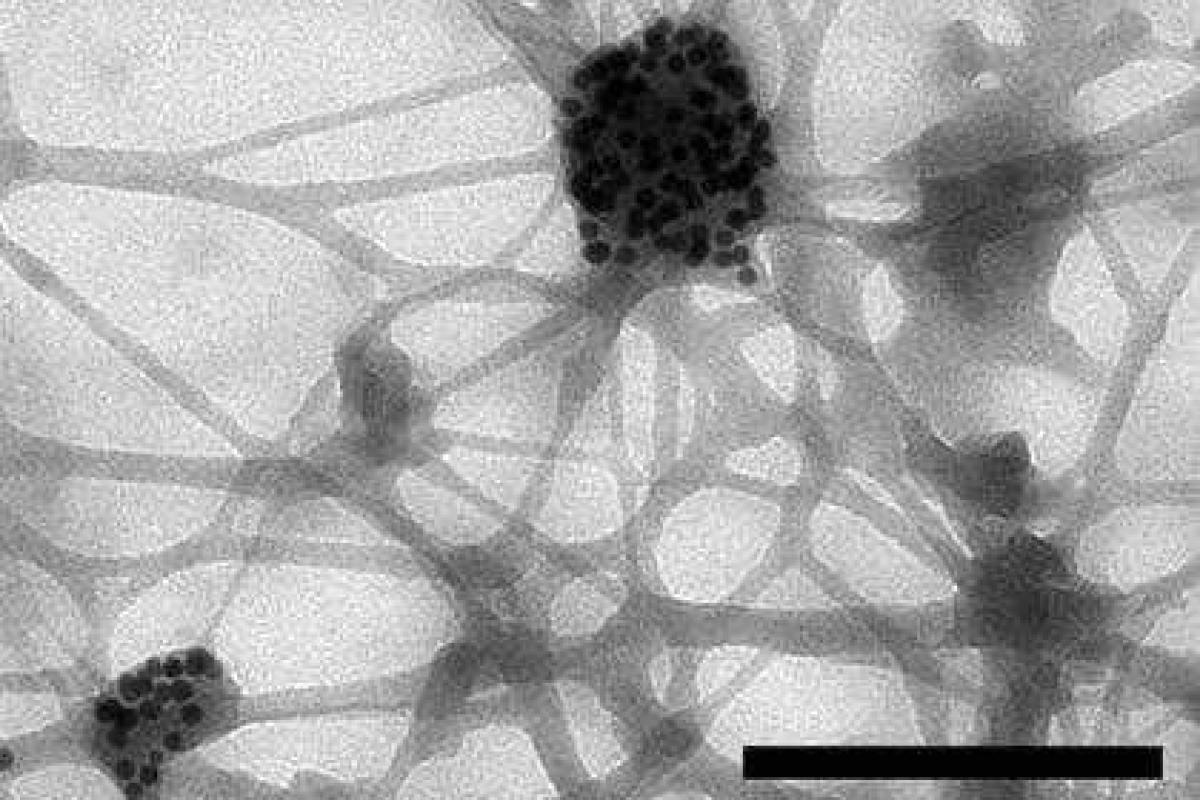Возраст матери связан с риском генетических мутаций у ребенка Возраст матери связан с риском генетических мутаций у ребенка