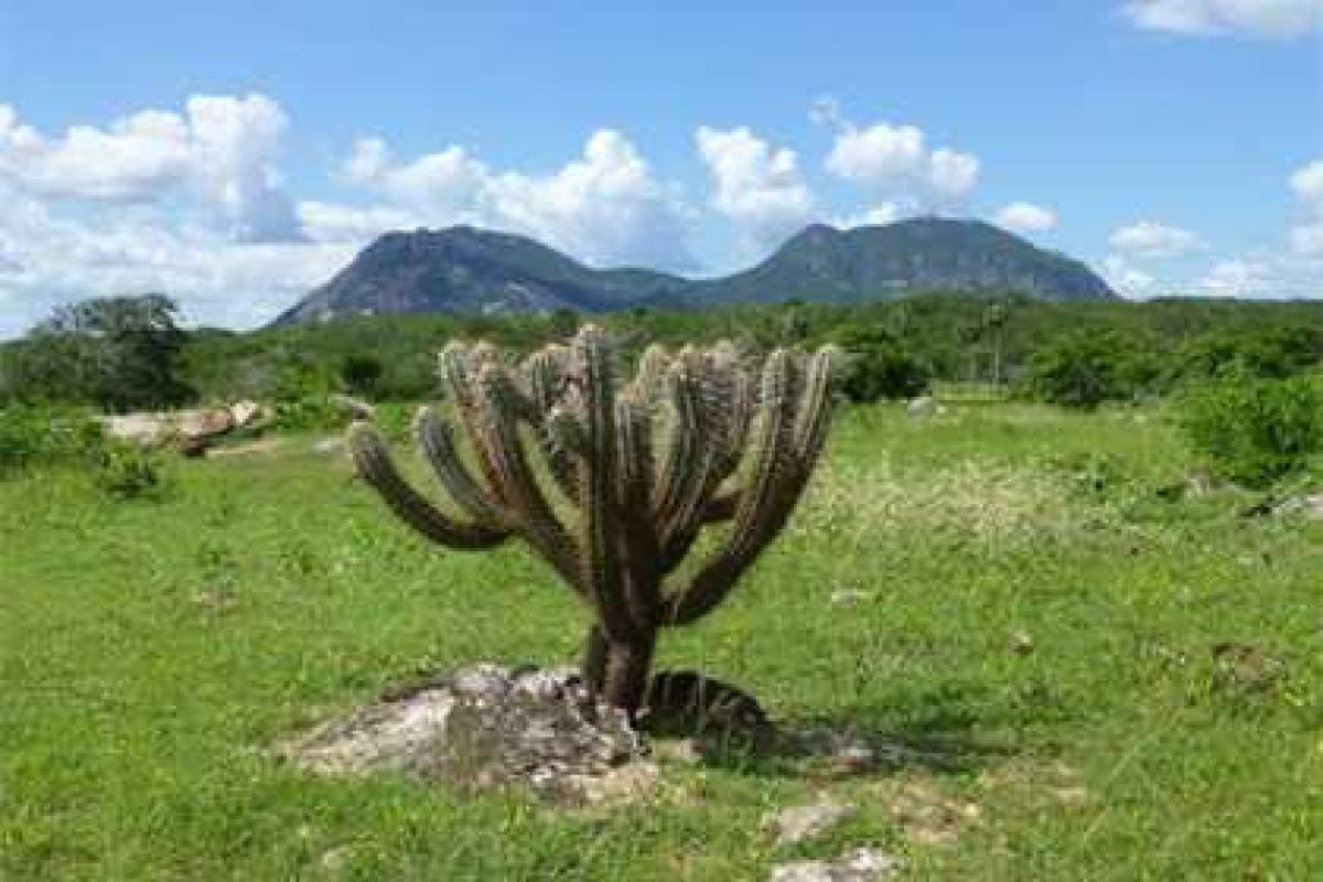 Следы гигантского древнего горного хребта обнаружены геологами Следы гигантского древнего горного хребта обнаружены геологами