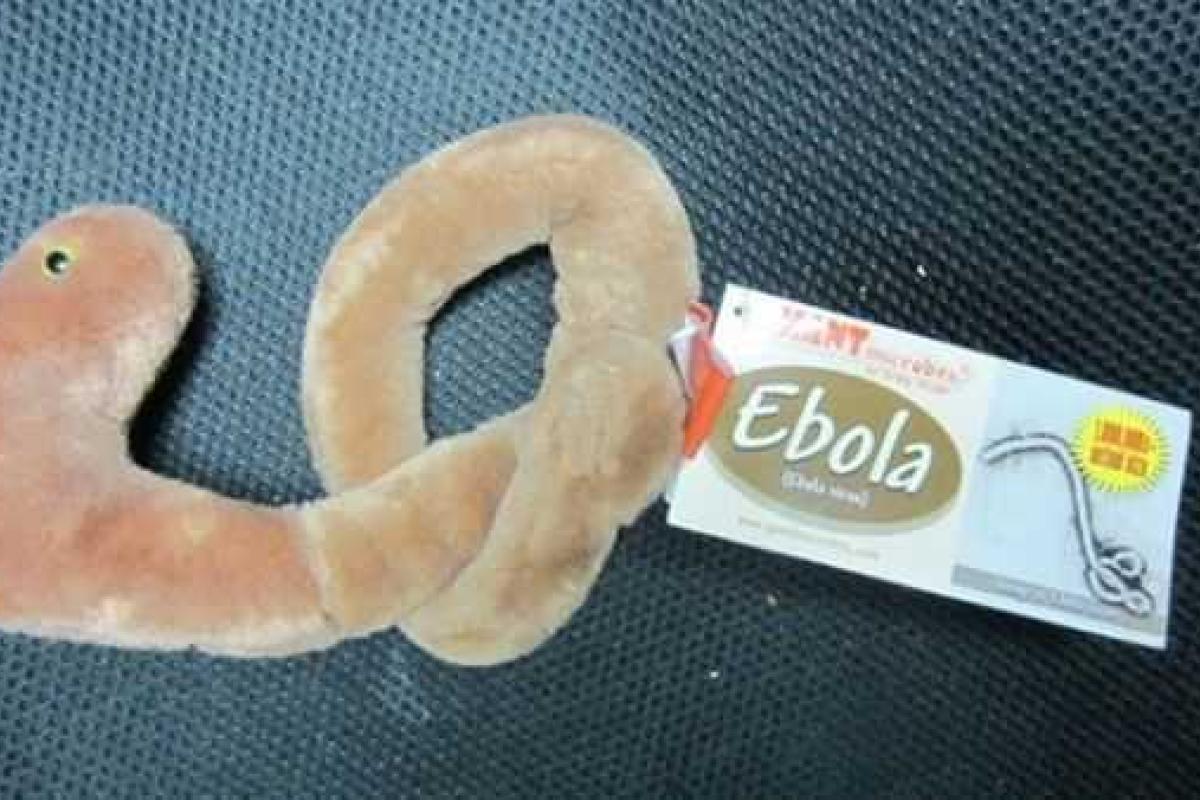 Американцы смели с магазинных полок плюшевых тираннозавров-микробов Эбола Американцы смели с магазинных полок плюшевых тираннозавров-микробов Эбола